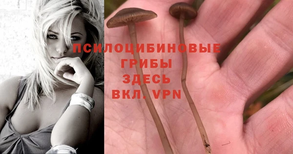 меф Арсеньев