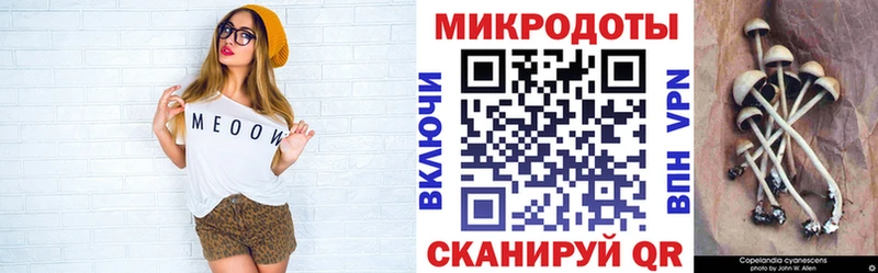 kraken онион  дарк нет какой сайт  Тайга  Галлюциногенные грибы прущие грибы  купить наркоту 